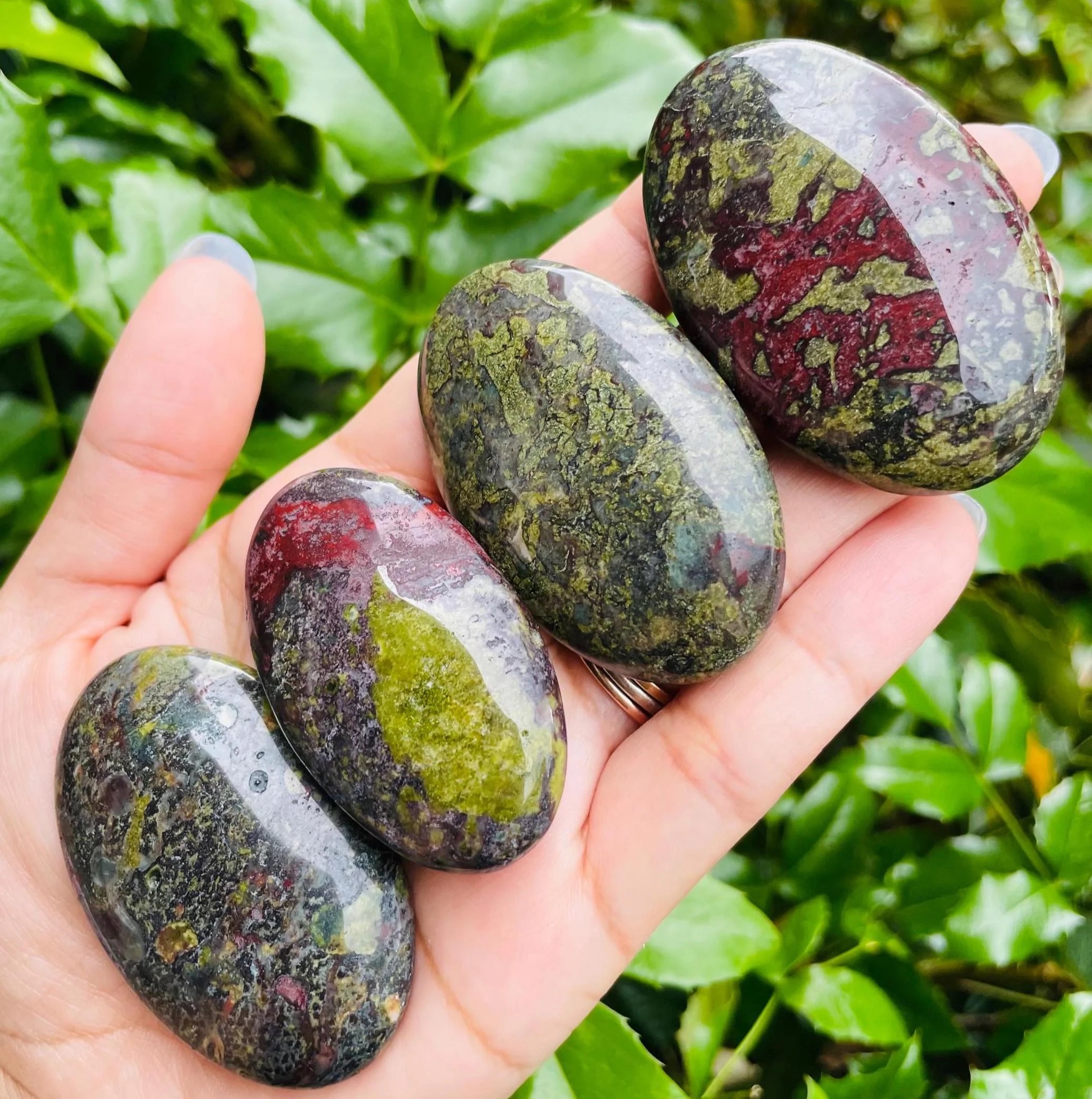 Polished Dragon Bloodstone Palm Stone: Green & Red Crystal Gemstone - Image 4