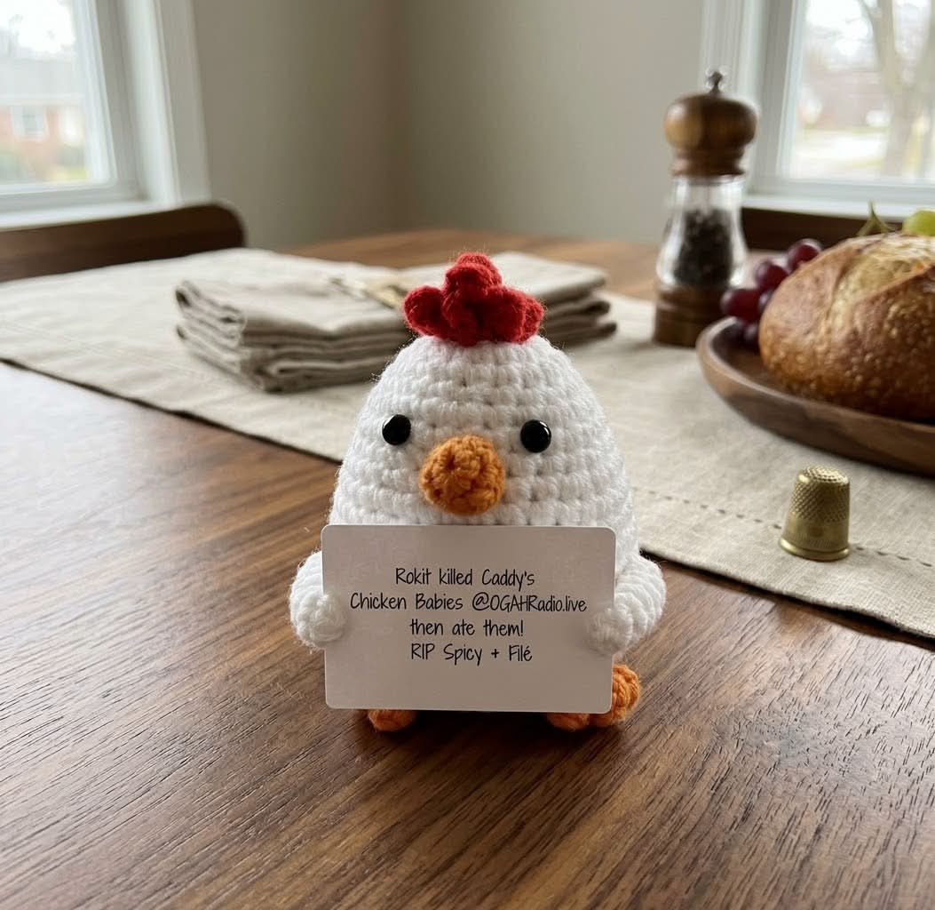 OGAHRADIO.live "RIP Spicy & Filé" Memorial Crochet Chicken - Image 3