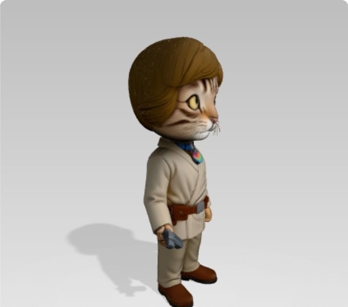 Luke Skywhisker – Limited Edition ⚔️🐱 - Image 4