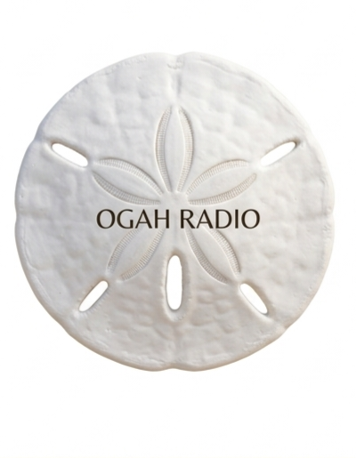 🐚 3D Printed Sand Dollar – "OGAH RADIO" Edition - Image 2