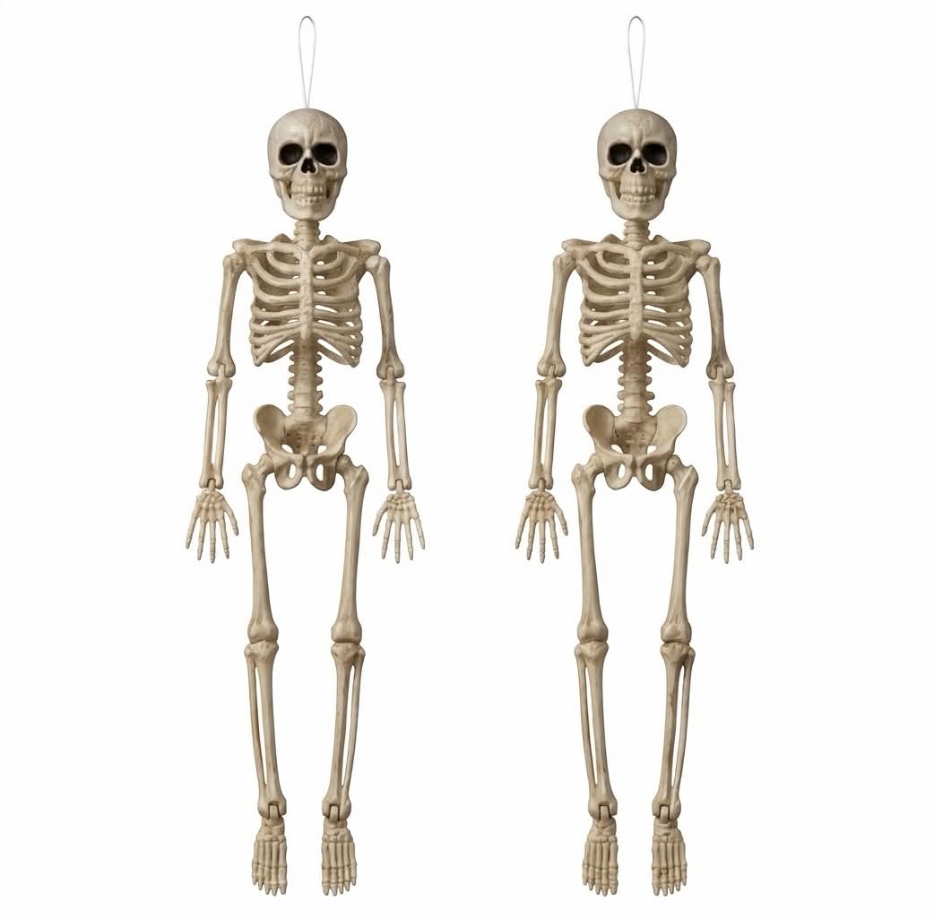 16-Inch Posable Halloween Skeletons (Pack of 2) – Weather-Resistant