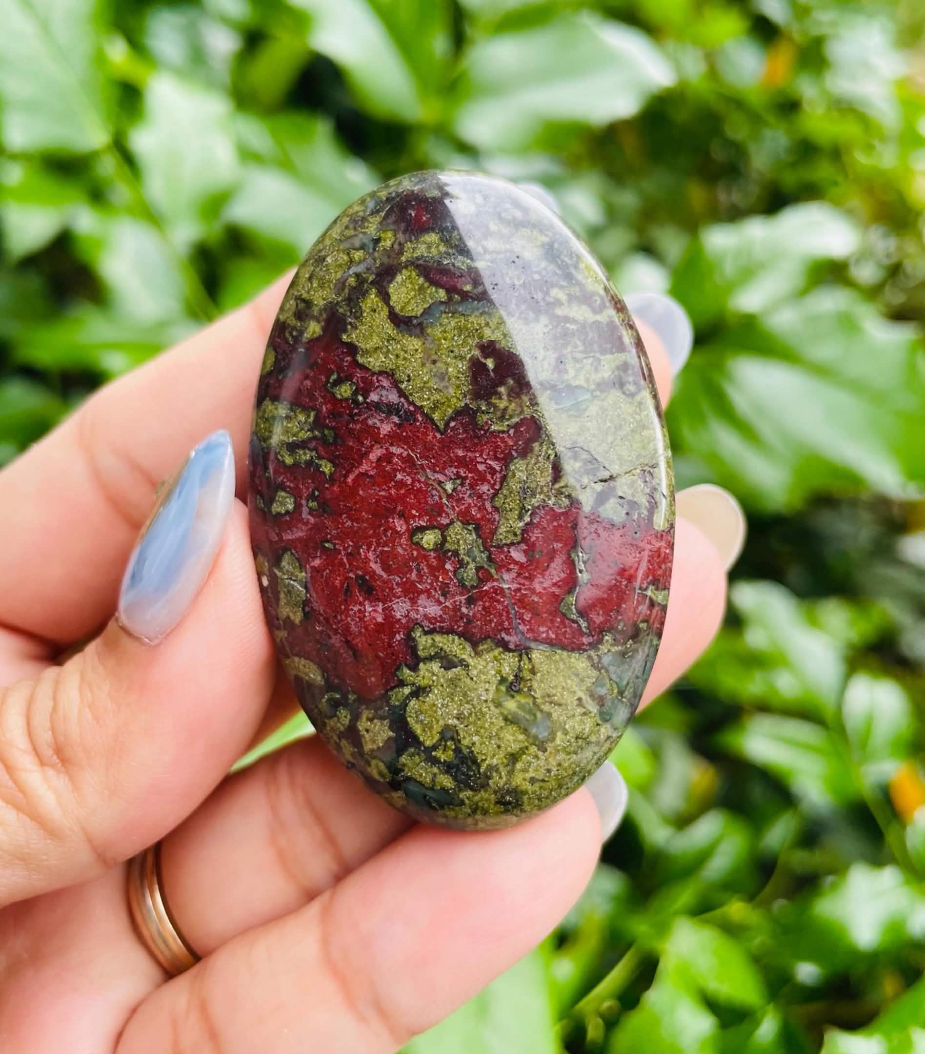 Polished Dragon Bloodstone Palm Stone: Green & Red Crystal Gemstone - Image 3